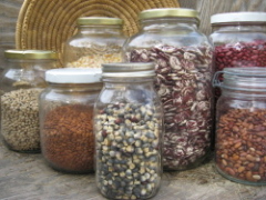 seeds in glass jars for saving