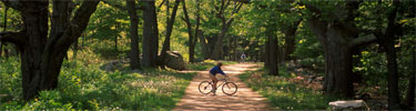 Cyclist enjoying the Battle Road Trail