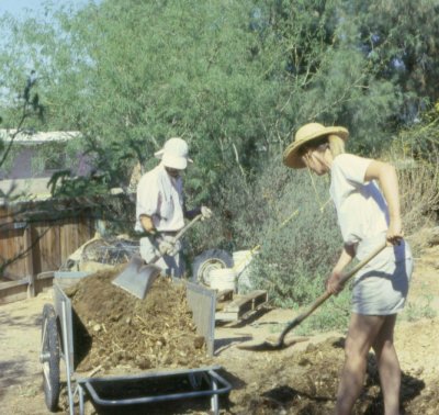 digging garden beds