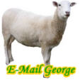 E-mail George logo