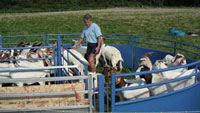 Handling system or set of canos or working pens.