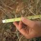 Rangeland monitoring in Wyoming.