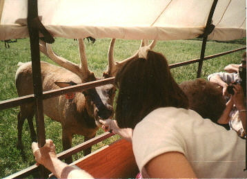 KREYCIK RIVERVIEW ELK RANCH