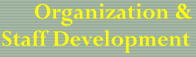 Organization and Staff Development