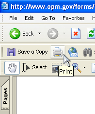 Screenshot of cursor over print button in a browser's PDF reader toolbar