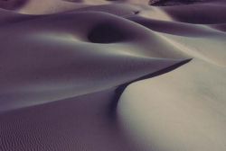 The Cadiz Dunes Wilderness Area