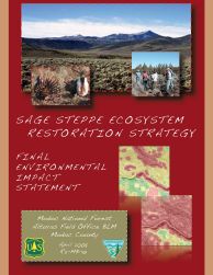 Sage Steppe Ecosystem Restoration Stragey EIS