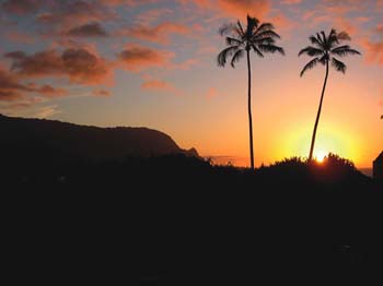 sandy sunset