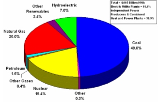 Figure ES 1. U.S. Electric Power Industry Net Generation, 2006