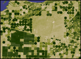 Irrigation and Land Surface Temperature in Oregon