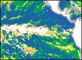 More Rain Likely in a Warmer World