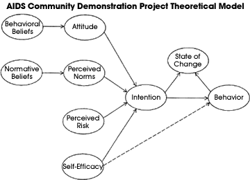 AIDS Community Demonstration Project Theoretical Model