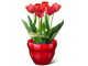 Virtual Flower Pot