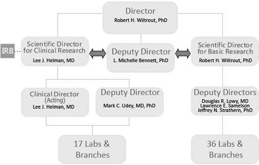 CCR Organization Chart