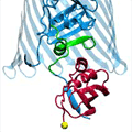 Bacteria Working to Eat