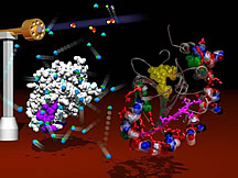 A synchrotron X-ray beam (far left) blasts water molecules to form hydroxyl radicals. These react with chemical chains on an adenovirus protease molecule (left) to reveal, in the 3-D model at right, how adenoviral DNA (red) binds to and activates the AVP protease.