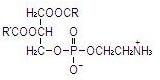 Image from Drug Label Content