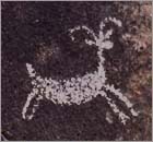 Illustration of a sheep on a rock at Coso