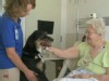 VIDEO: Thunder dogs help hospital patients.