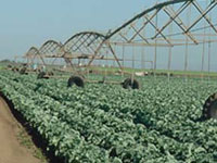 Irrigation