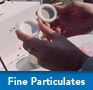 Fine Particulates