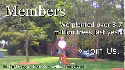 Learn about trees at arborday.org