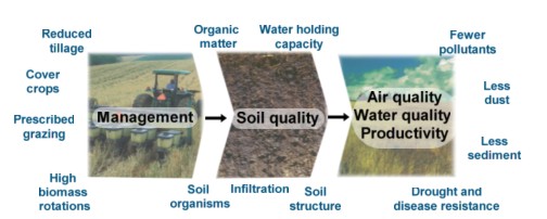 Good management leads to quality soil which is essential to environmental quality.