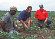 soil quality management