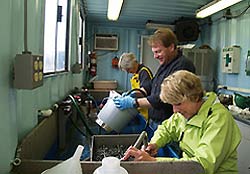 photo of workers sieving through sediment