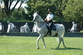 USPP Officer on horse patrol at the Korean War Veterans Memorial.