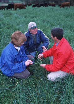 Ag. Educator and farmers in field