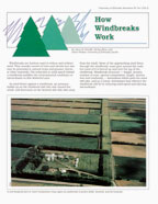 How Windbreaks Work