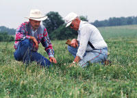 two farmers in a field