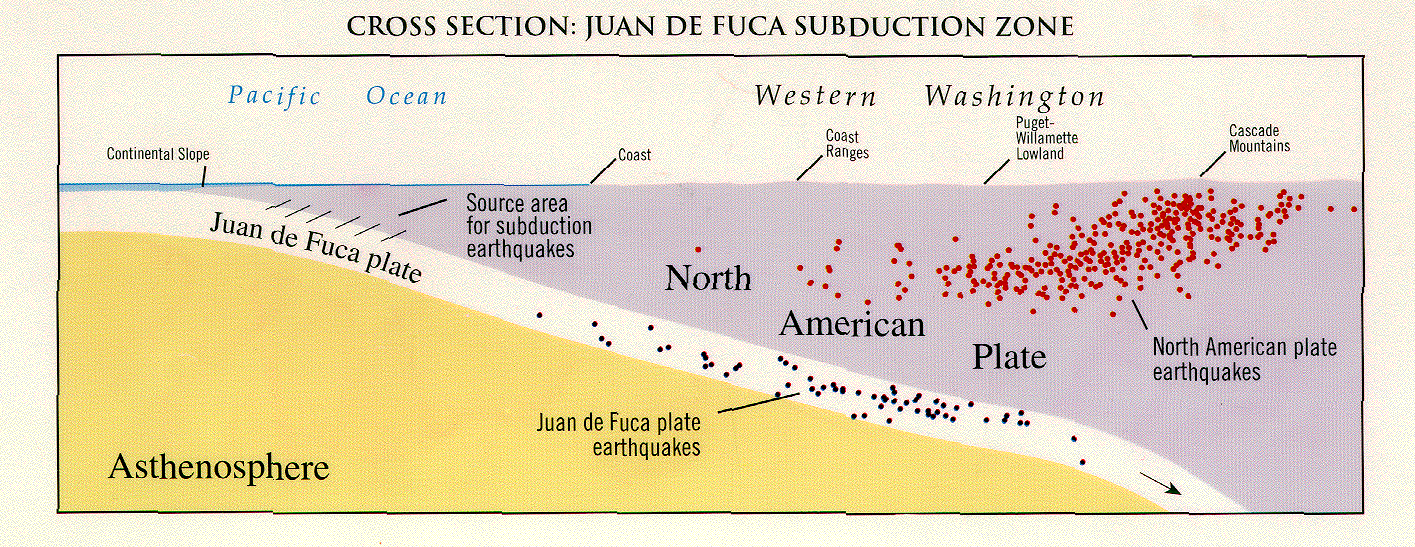 Cross-Section