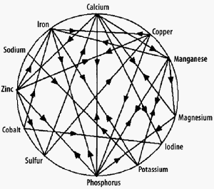 mineral chart