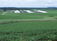 This farm in Wisconsin uses nutrient management practices to apply manure from the hog operation on cropland.