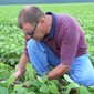 soybean rust scientist