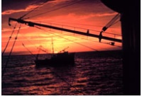 Photo of shrimp trawlers at sunset.