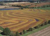 A terrace system protects a field from erosion in western Missouri.