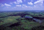 Indiana Wetlands.