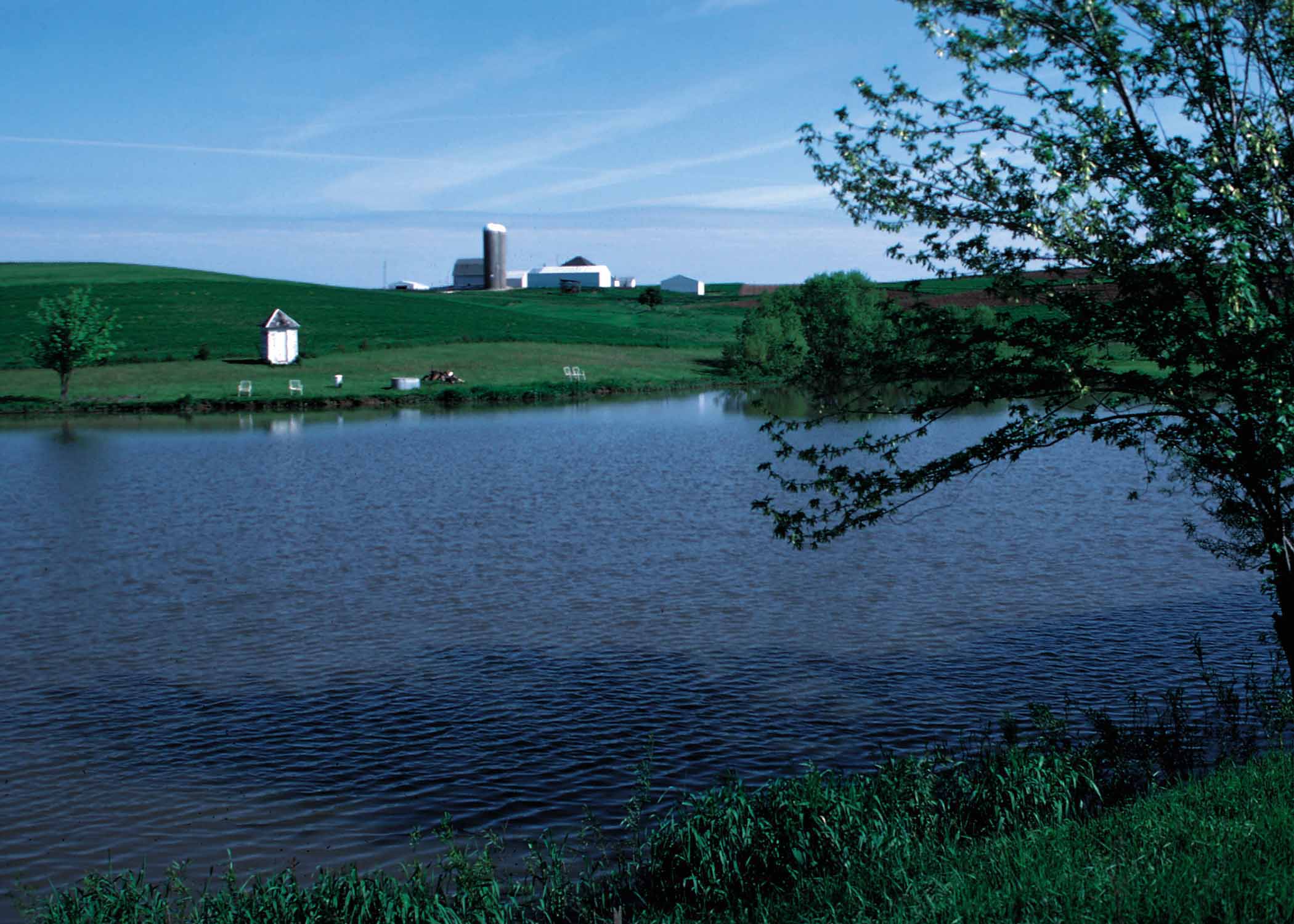 Farm pond