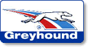 Greyhound Bus