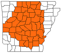 Little Rock County Warning Area 