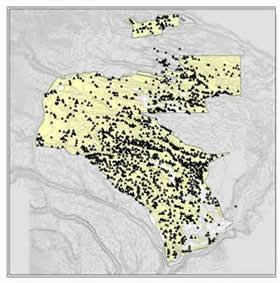 Archaeological Sites