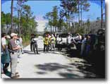 photo of people standing amoung pine trees