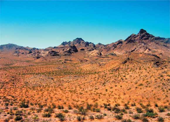 Newberry Mountains, NV