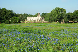 Mission San Juan in a field of wildflowers.