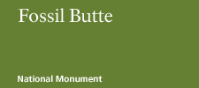 Fossil Butte National Monument