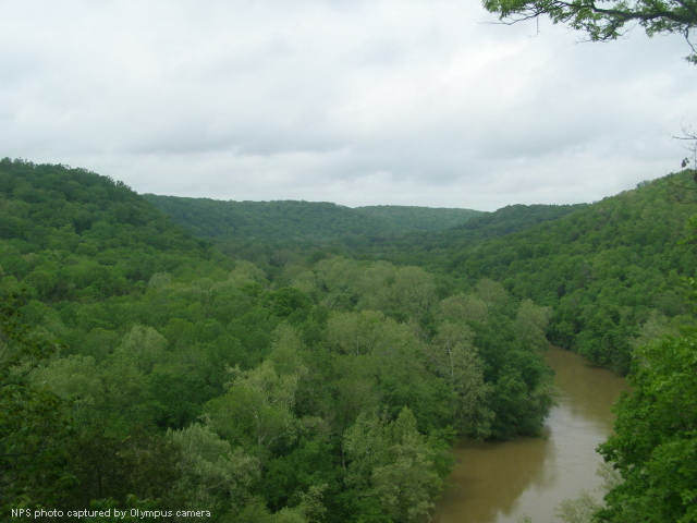 View of Green River Valley, Mammoth Cave National Park