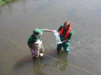 Plant foliage samples being placed in direct sunlight for water extraction by solar distillation. Water vapor released from the foliage condenses as liquid on the inside surface of the sample bag.